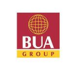 BUA Foods suffers N188.7bn FX loss